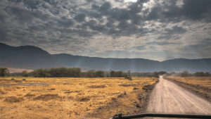 Découvrez la Tanzanie : en route pour un safari exceptionnel !