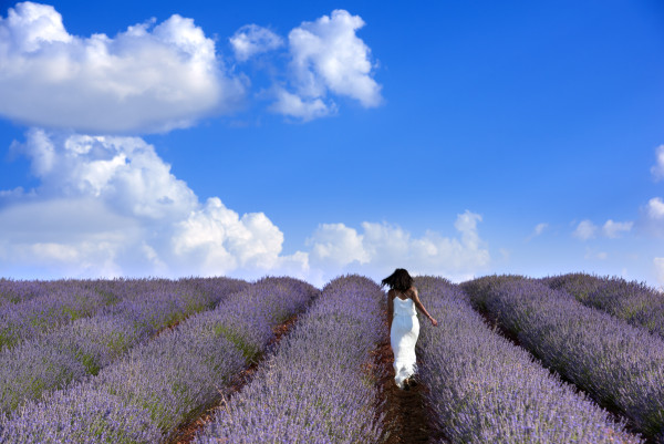 destination luxe, excellence et authenticité