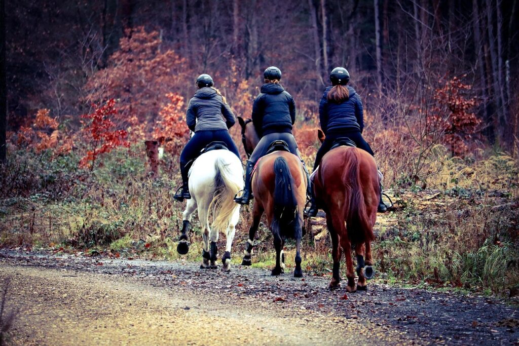 Voyager à cheval : les clés pour bien préparer votre départ